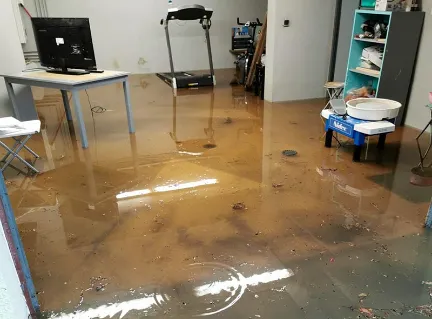 A1 Hydro Hustle Picture 2