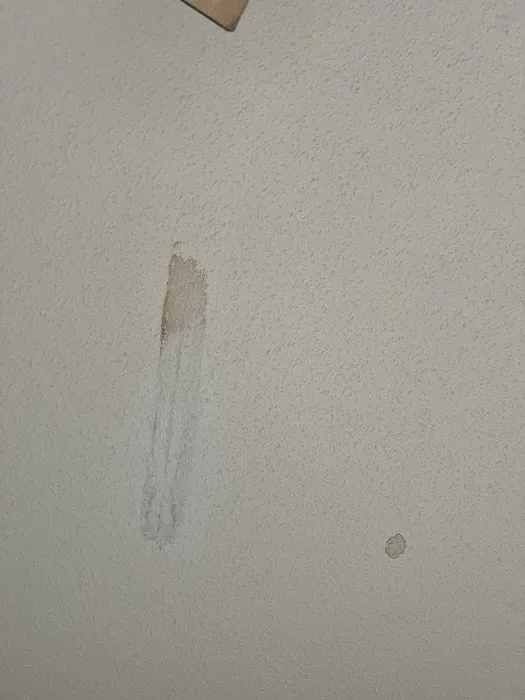 Bauer Services Inc Picture 6