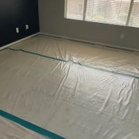 Rapid Response Disaster Services ico