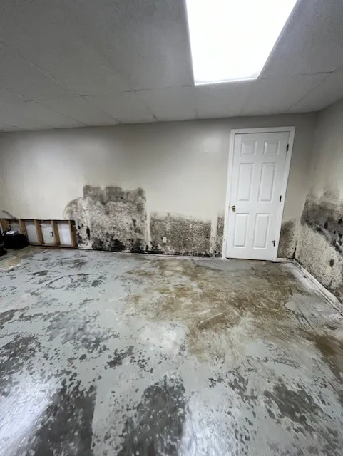 RestoPros of Kansas City Picture 1