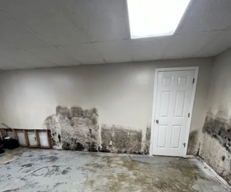 RestoPros of Kansas City