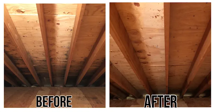 Efficient Buildings LLC Picture 3