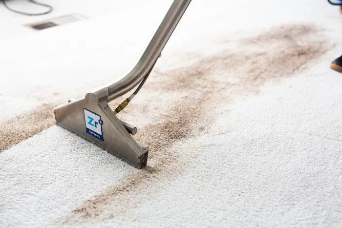 Asure Carpet Cleaning Picture 5