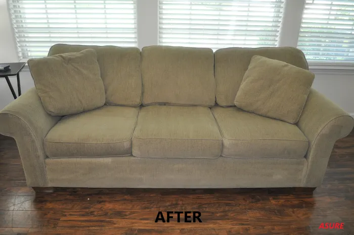 Asure Carpet Cleaning Picture 4