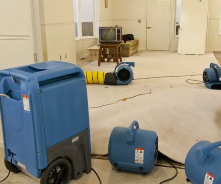 Asure Carpet Cleaning