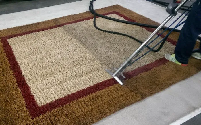 Asure Carpet Cleaning Picture 2