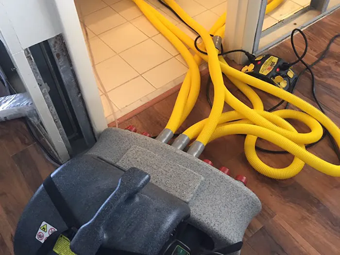 Asure Carpet Cleaning Picture 3