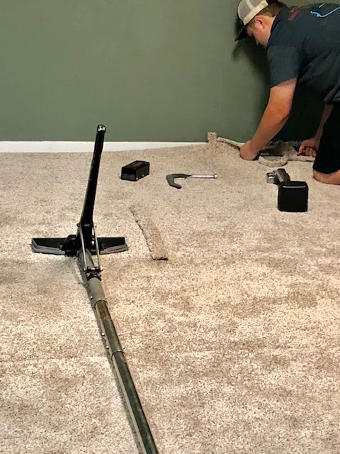 Asure Carpet Cleaning Picture 7