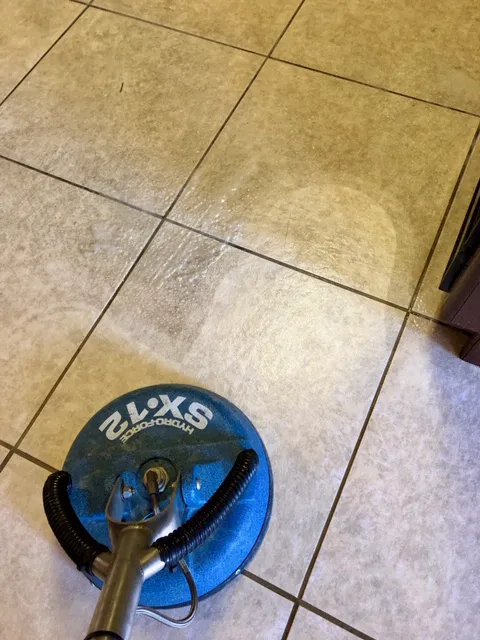 Asure Carpet Cleaning Picture 10