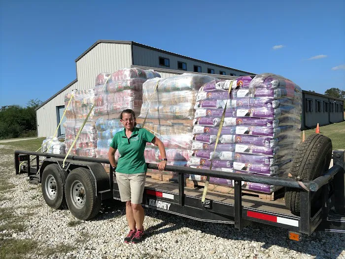 Chem-Dry of Brazos County Picture 2