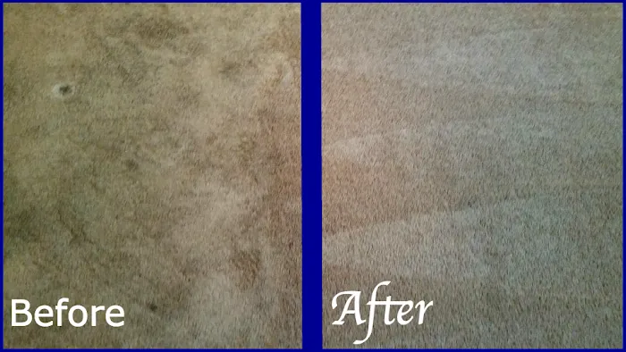 Advanced Carpet Cleaning Picture 3