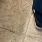 Quality Carpet Cleaning