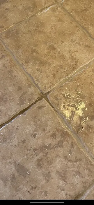 Quality Carpet Cleaning Picture 3