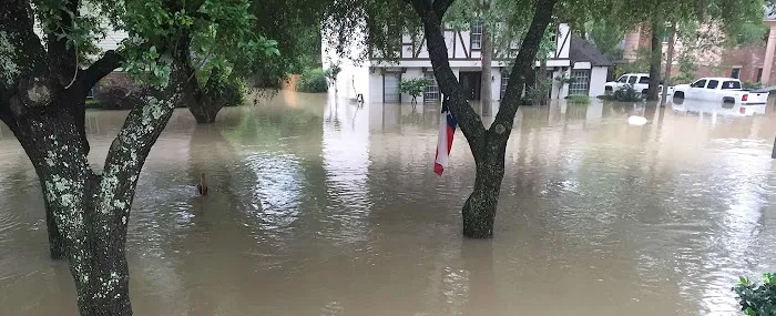 Total Restoration Picture 7