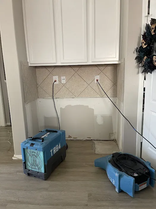 Total Restoration Picture 2