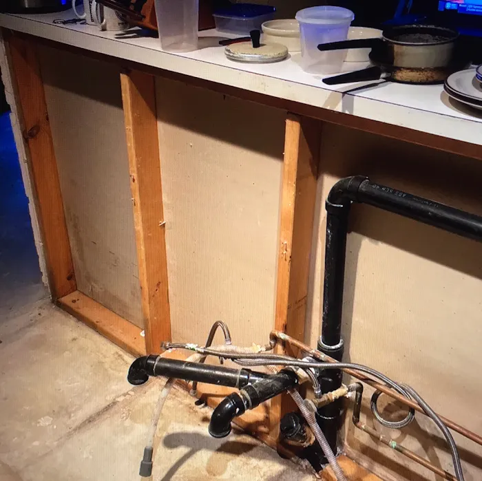 Woodlands Picture 10