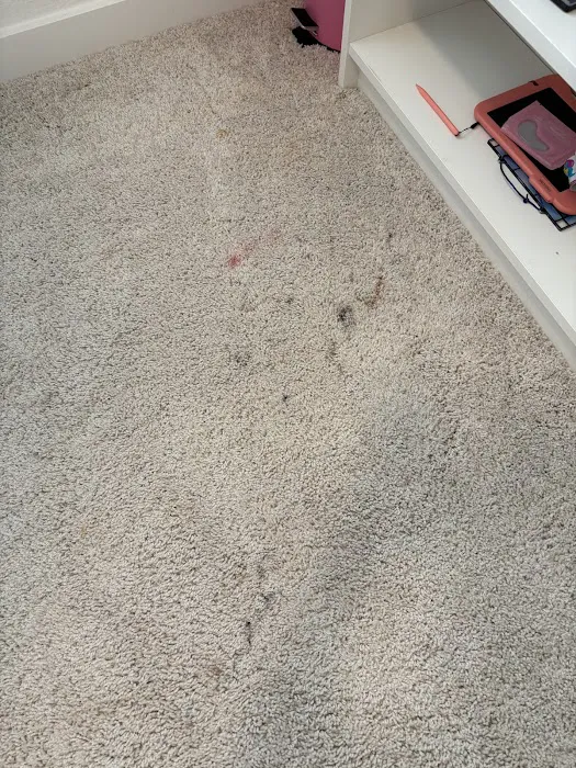 Crosshair Cleaning & Restoration Picture 3