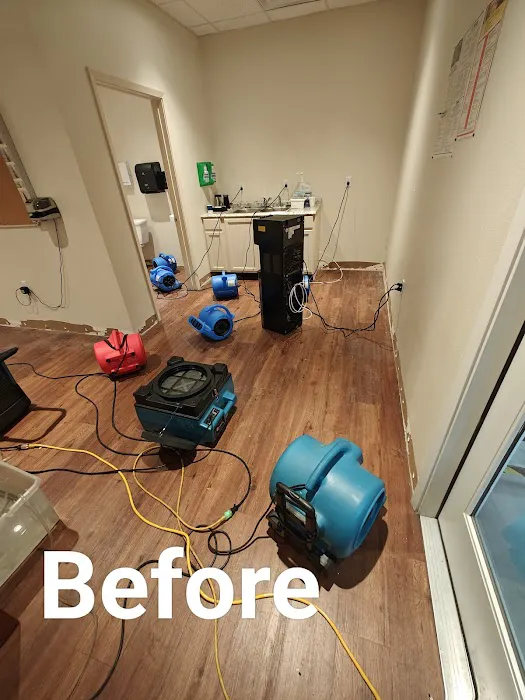 WFM RESTORATION LLC Picture 7