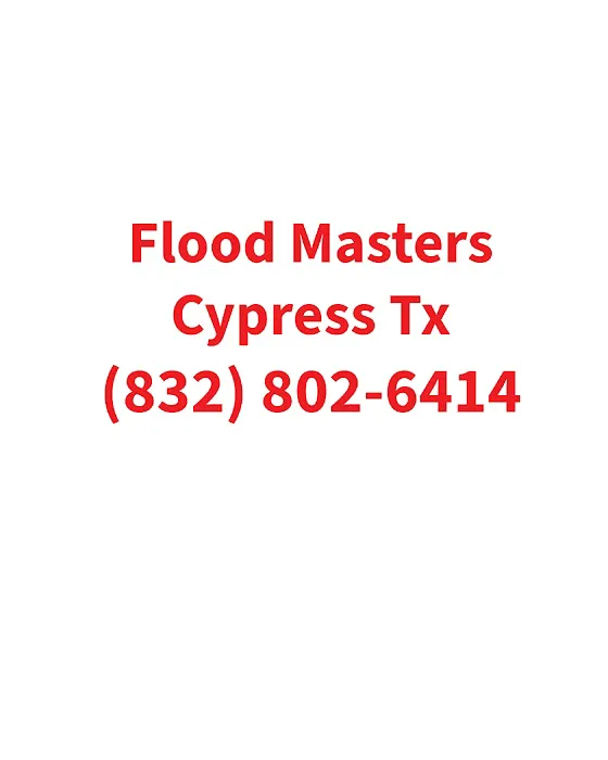 Flood Masters Cypress Picture 4