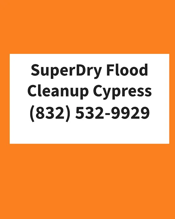 SuperDry Flood Cleanup Cypress Picture 7
