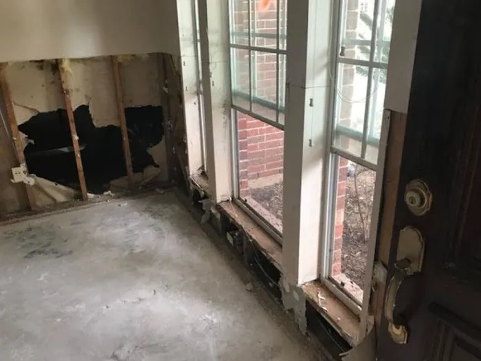 UpFront Water Damage & Mold Remediation Picture 8