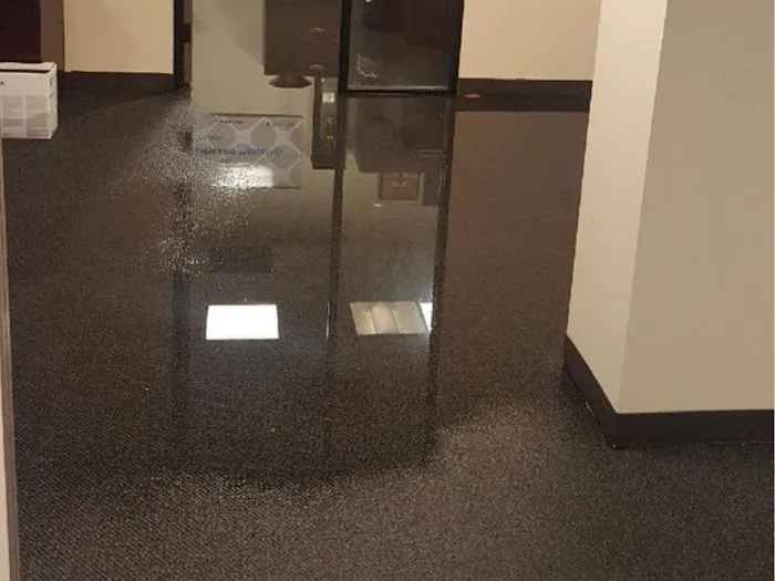 UpFront Water Damage & Mold Remediation Picture 1