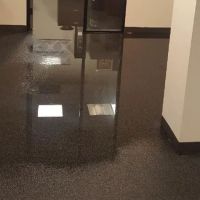 UpFront Water Damage & Mold Remediation ico