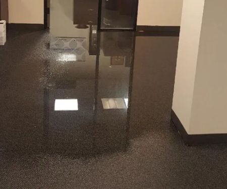 UpFront Water Damage & Mold Remediation