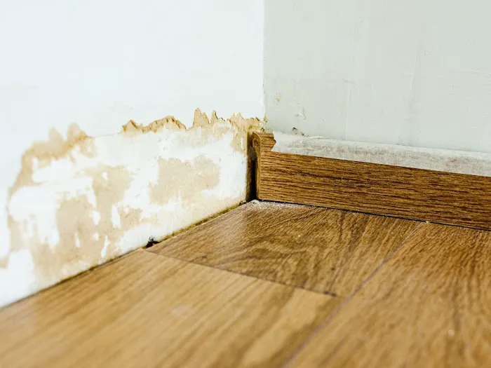 UpFront Water Damage & Mold Remediation Picture 7