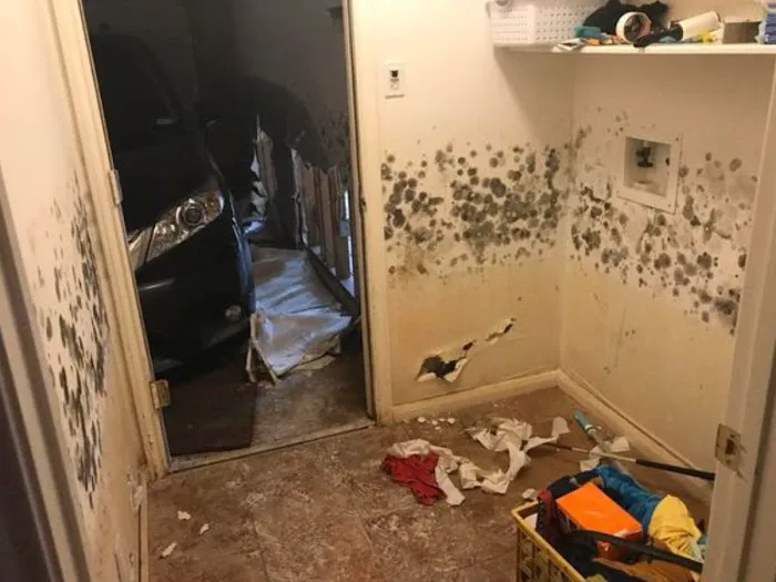 UpFront Water Damage & Mold Remediation Picture 3