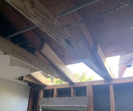 SERVPRO of Lake Conroe, Magnolia & Cleveland