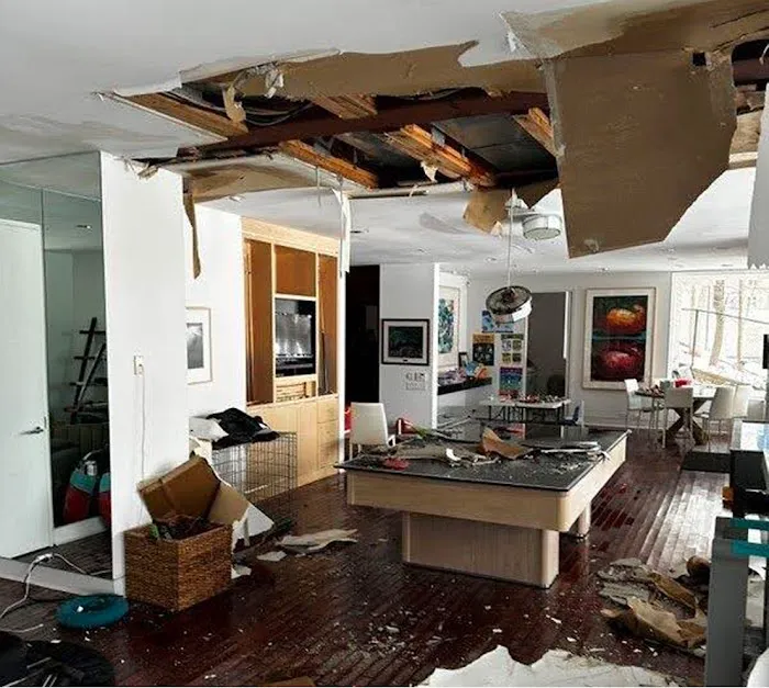 MCRS - Southeast Texas Picture 2