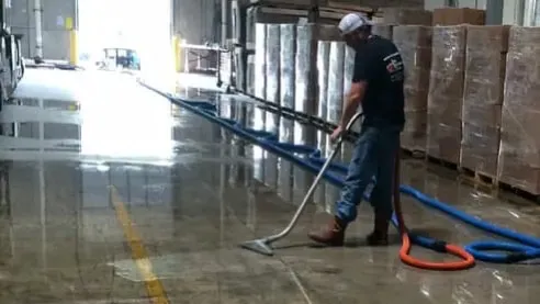 CRYSTAL CLEAR Picture 2