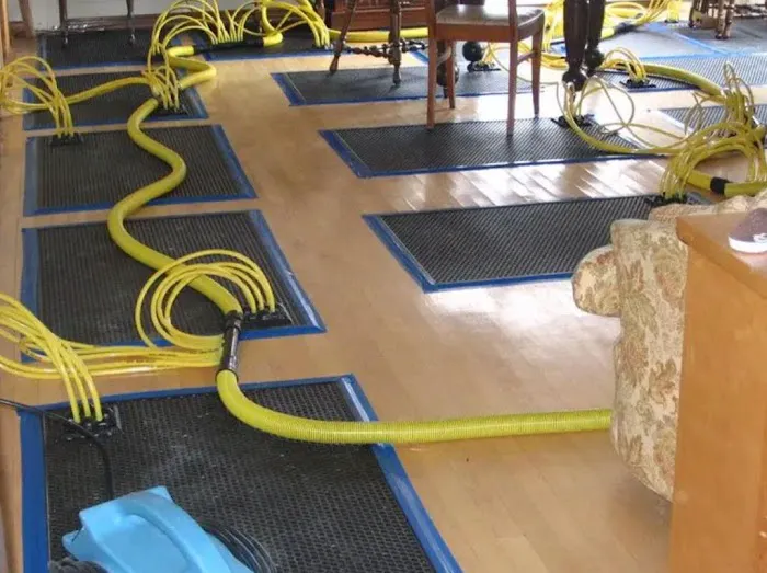 CRYSTAL CLEAR Picture 4