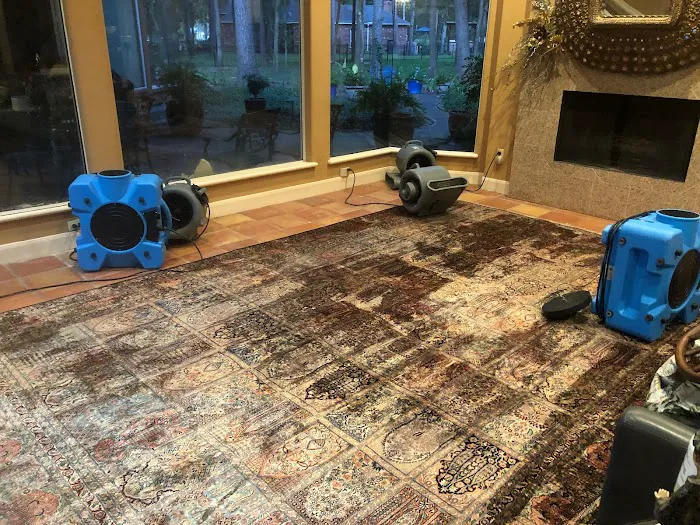 No Fuss Solutions Picture 2