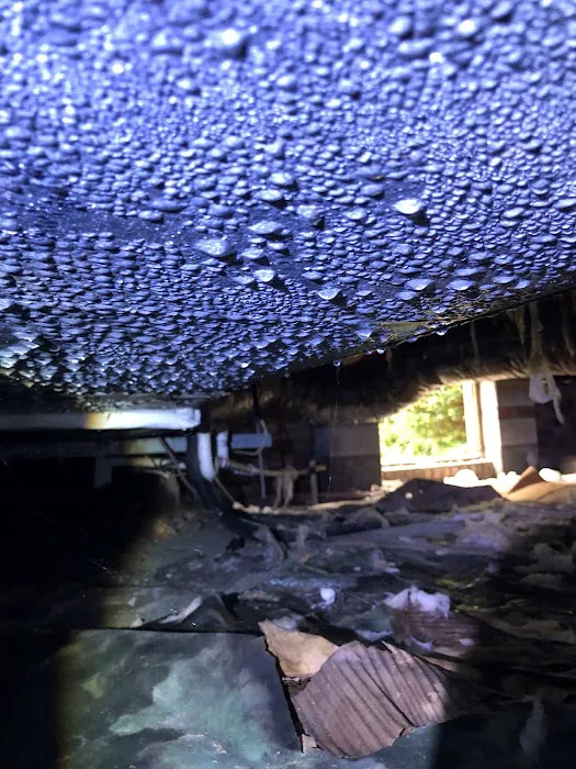 NEKO - Water Damage Restoration in Oak Ridge North Picture 2