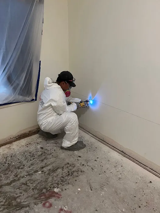 PuroClean of The Woodlands Picture 7