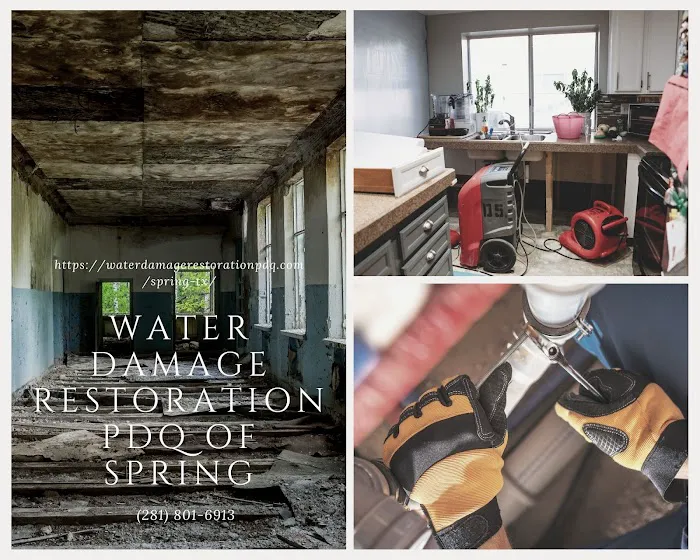 Water Damage Restoration PDQ of Spring Picture 7