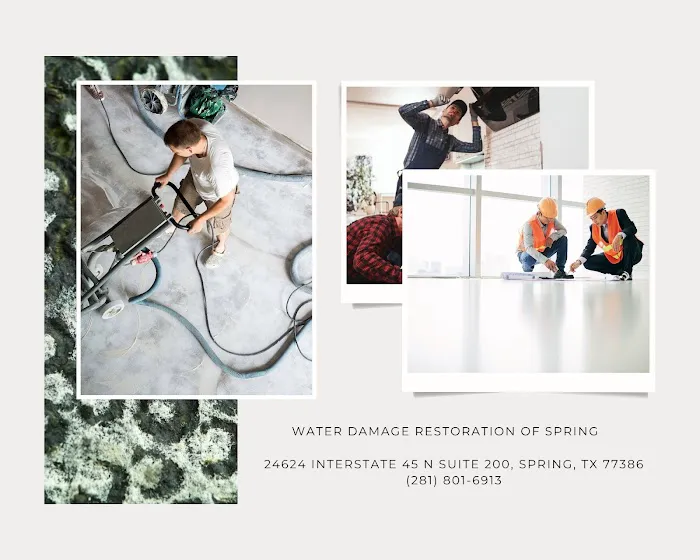 Water Damage Restoration PDQ of Spring Picture 8