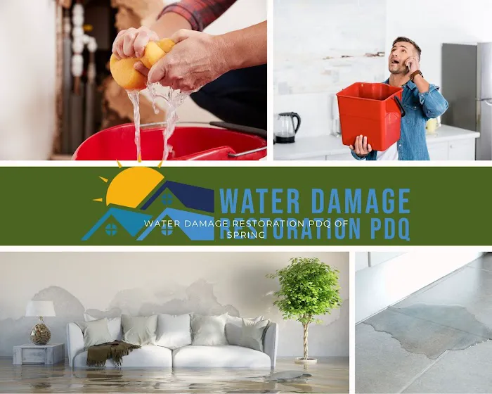 Water Damage Restoration PDQ of Spring Picture 9