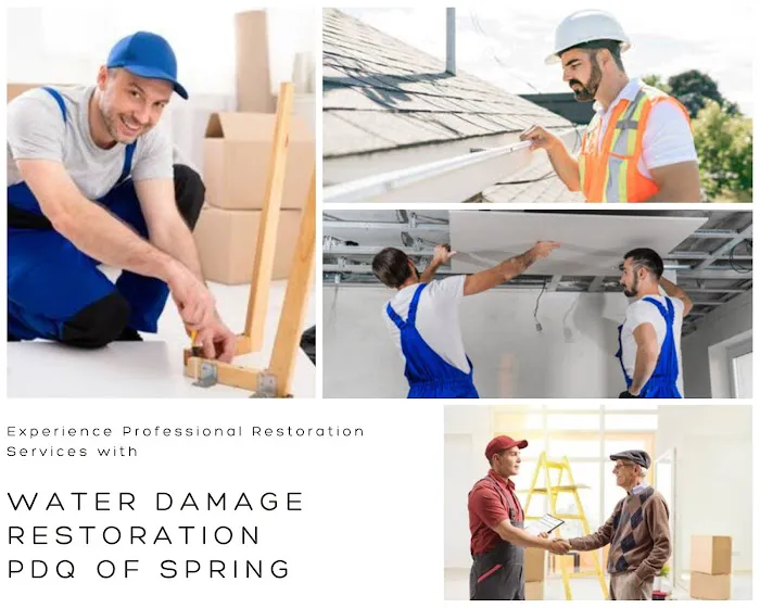 Water Damage Restoration PDQ of Spring Picture 2