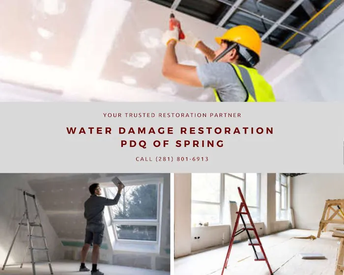 Water Damage Restoration PDQ of Spring Picture 3