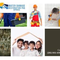 Water Damage Restoration PDQ of Spring ico