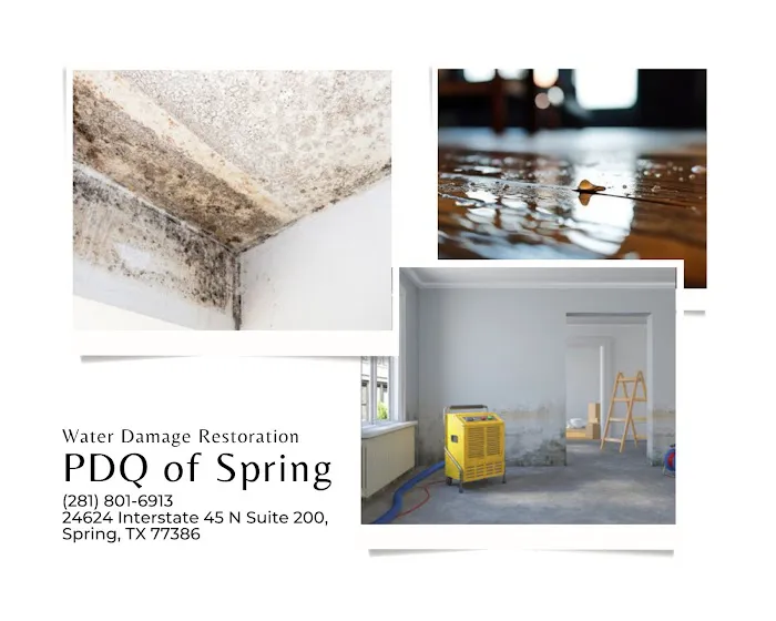 Water Damage Restoration PDQ of Spring Picture 5