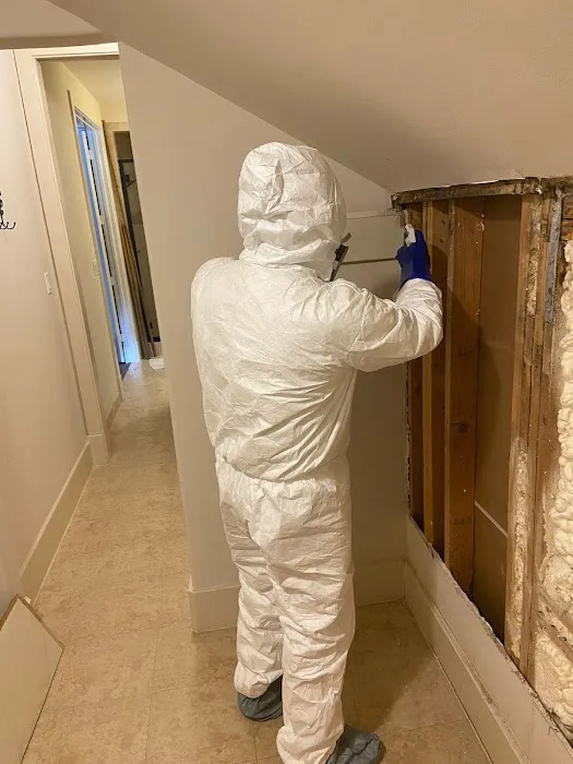 GEI Water Damage Restoration Spring Picture 4