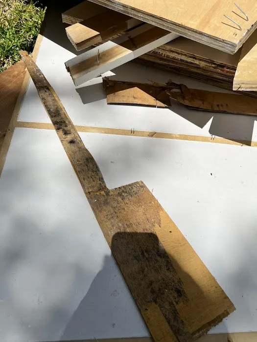 GEI Water Damage Restoration Spring Picture 5