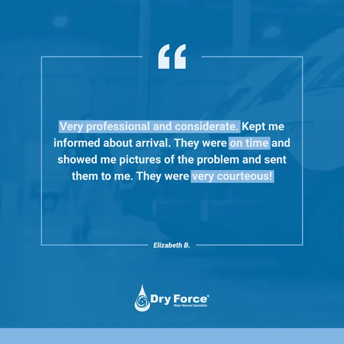 Dry Force Water Removal Specialists Picture 1