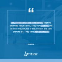 Dry Force Water Removal Specialists ico