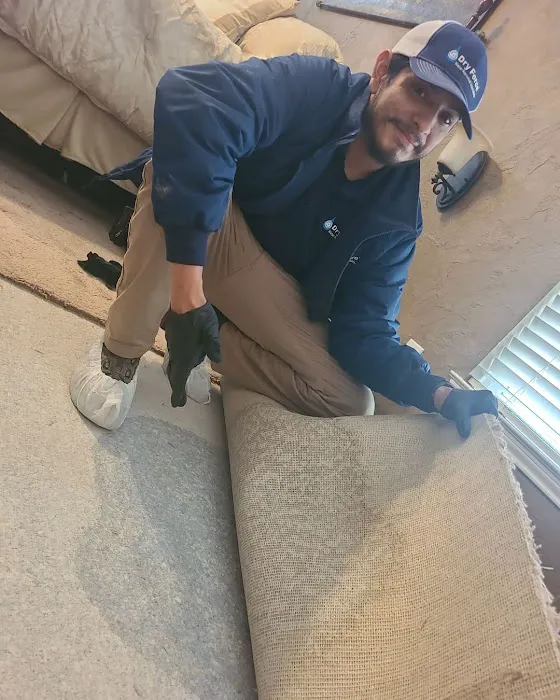 Dry Force Water Removal Specialists Picture 3