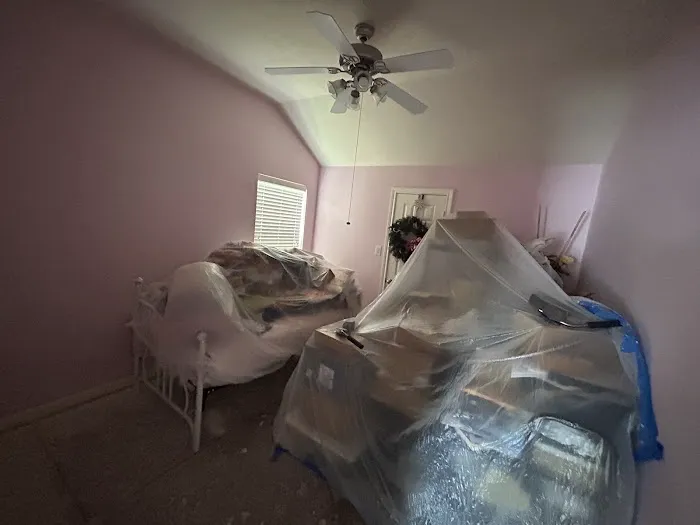 Houston Pros Picture 1